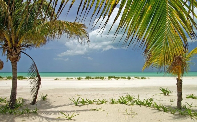  Praias do México